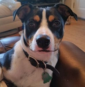 Meet your Posher, Debi